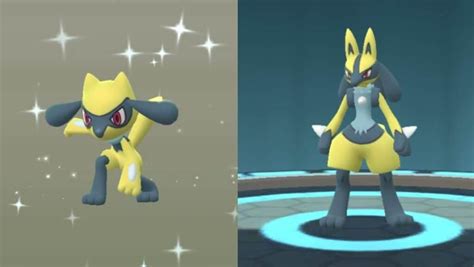 shiny lucario pokemon go.